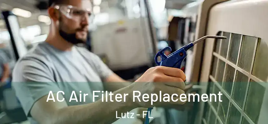 AC Air Filter Replacement Lutz - FL