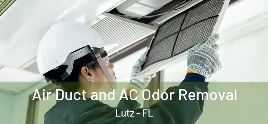  Air Duct and AC Odor Removal Lutz - FL