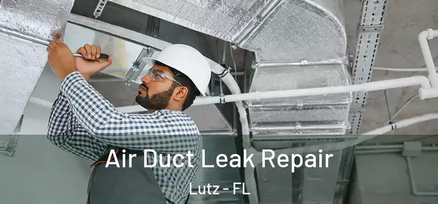  Air Duct Leak Repair Lutz - FL