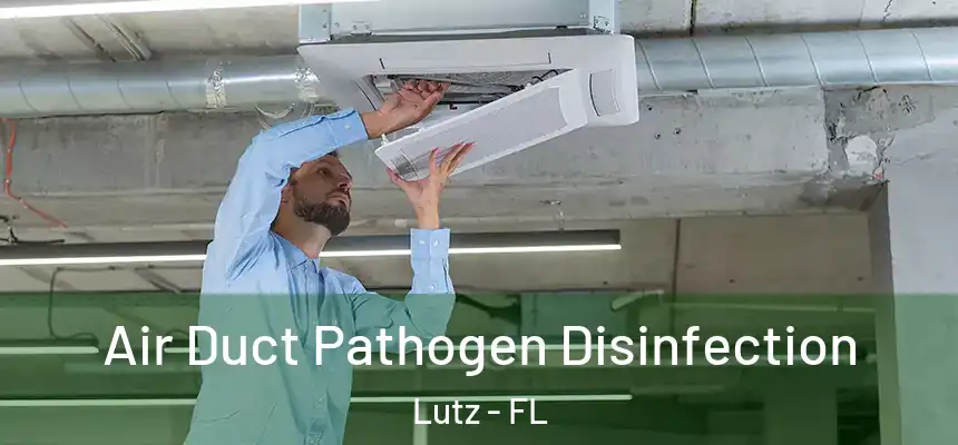 Air Duct Pathogen Disinfection Lutz - FL