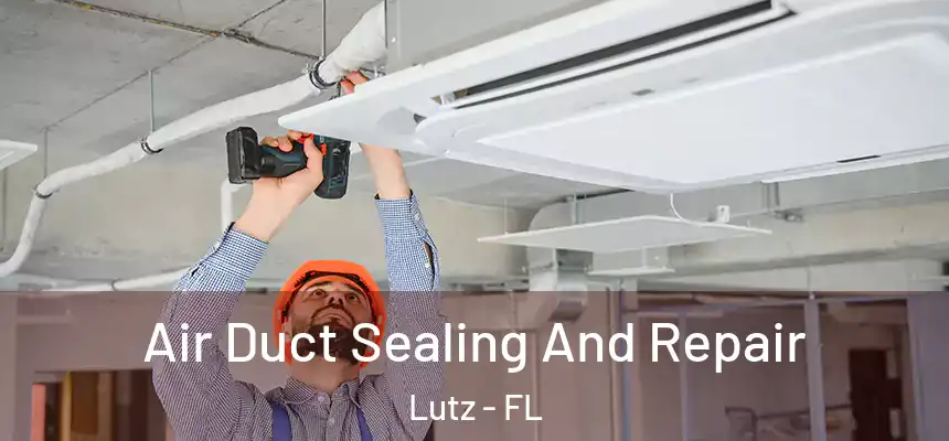  Air Duct Sealing And Repair Lutz - FL