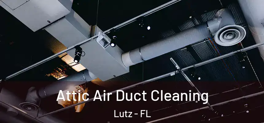 Attic Air Duct Cleaning Lutz - FL