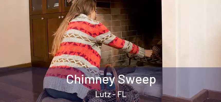  Chimney Sweep Lutz - FL