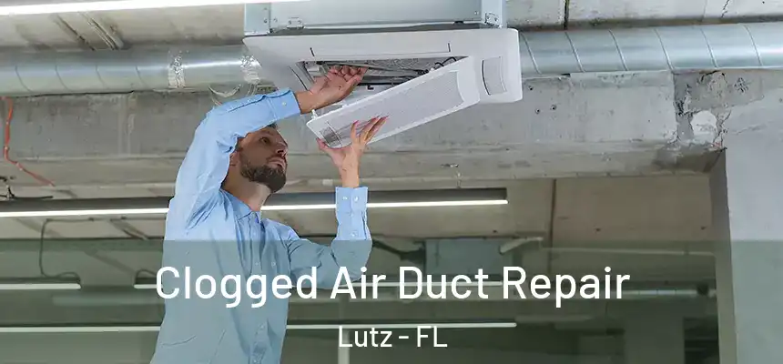  Clogged Air Duct Repair Lutz - FL