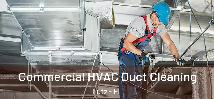 Commercial HVAC Duct Cleaning Lutz - FL