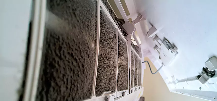 Preventive Air Duct Bacteria Removal in Lutz