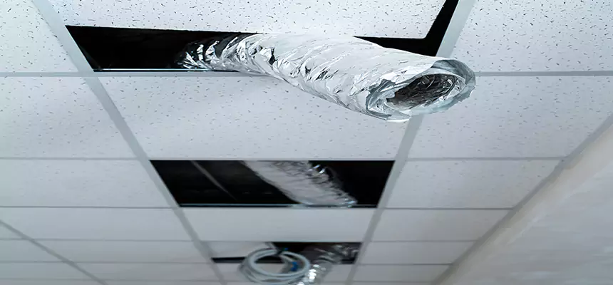 Our Air Duct Pet Hair Removal Services in Lutz, FL