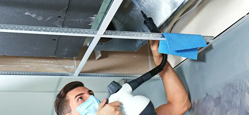 Our Air Duct Rodent Removal Services in Lutz, FL