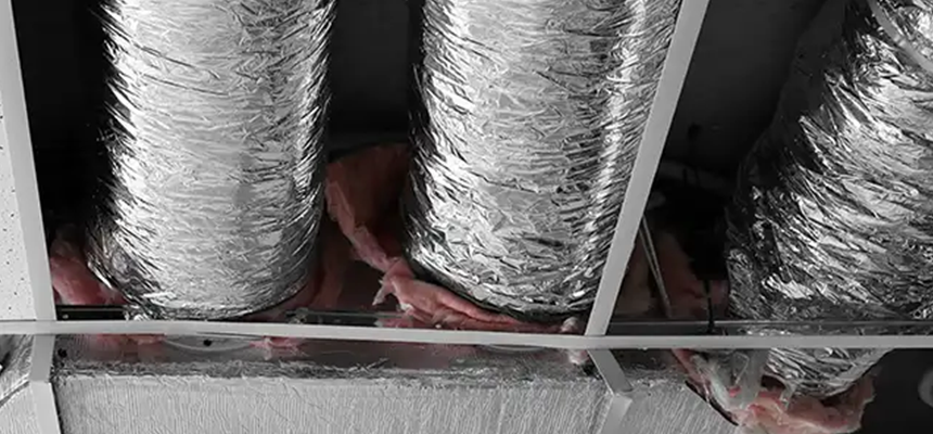 Scalable Commercial Multi‑Unit Dryer Vent Camera Inspection in Lutz, FL