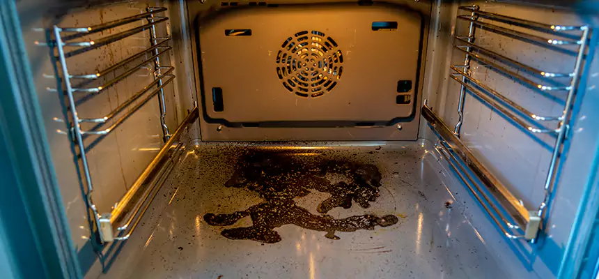 Our Dryer Vent Mold Cleaning Services in Lutz, FL