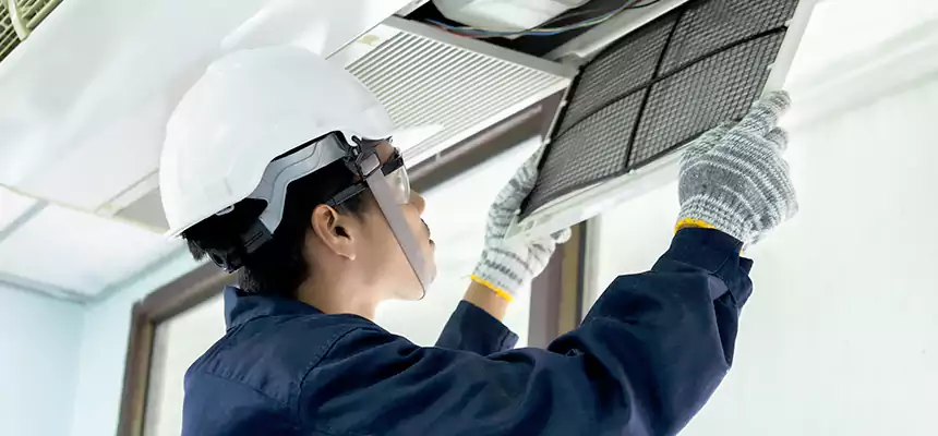 Our Mold & Mildew Removal from Air Ducts Services in Lutz, FL