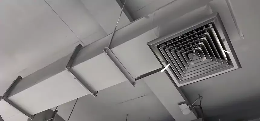 Our Pest Removal From Ducts Services in Lutz, FL