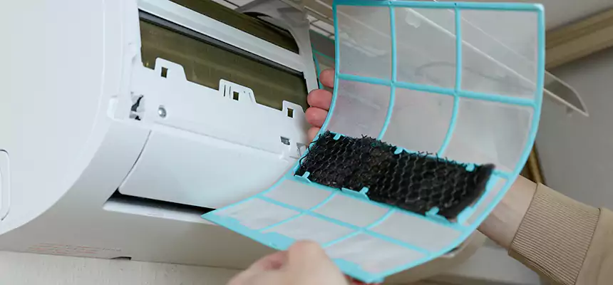 Gentle Ductwork Odor-Control Pet Dander Duct Cleaning in Lutz, FL