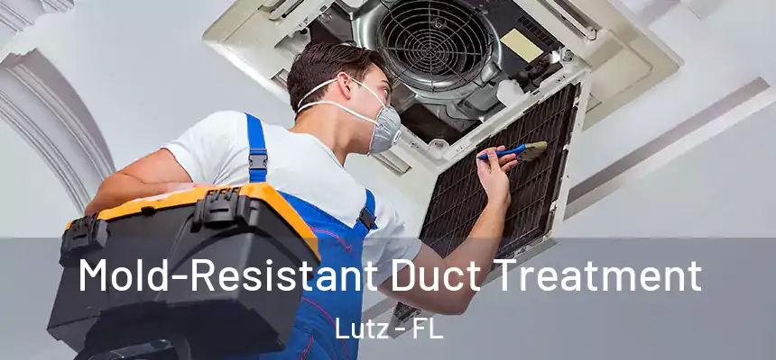  Mold-Resistant Duct Treatment Lutz - FL