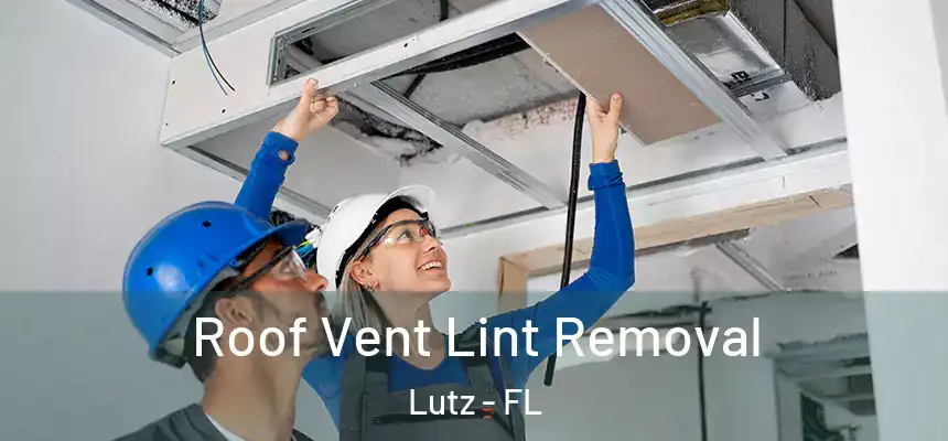 Roof Vent Lint Removal Lutz - FL