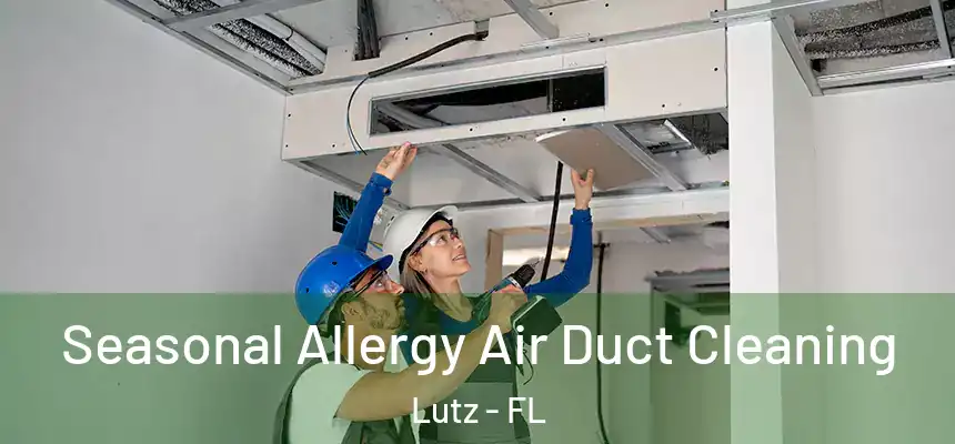  Seasonal Allergy Air Duct Cleaning Lutz - FL