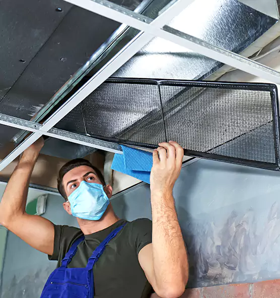 Professional Air Duct Pollen Cleaning in Lutz, FL