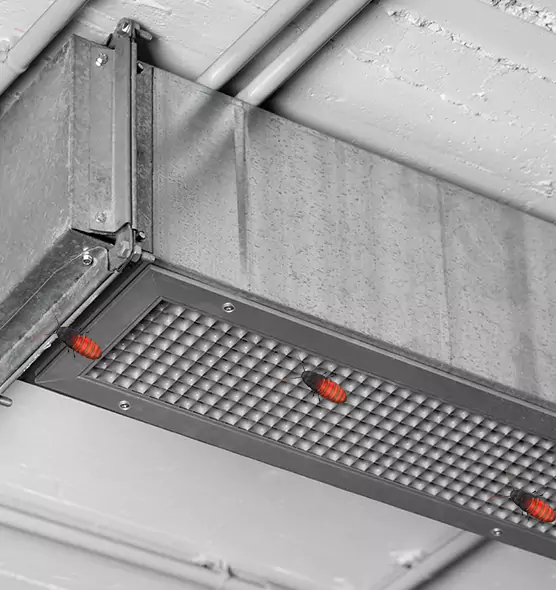 Affordable Insect Removal from Air Ducts in Lutz, FL