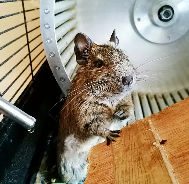 Why Homeowners & Businesses Trust Us Lutz, FL