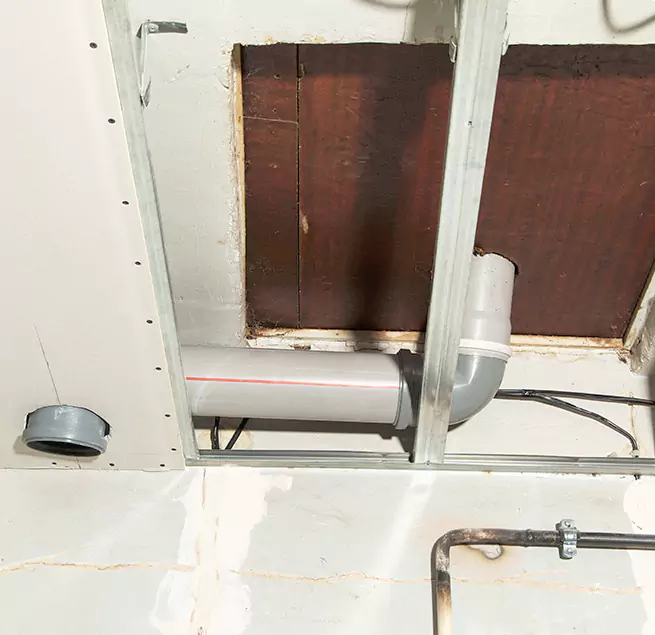 Why Homeowners & Businesses Trust Us in Lutz, FL?