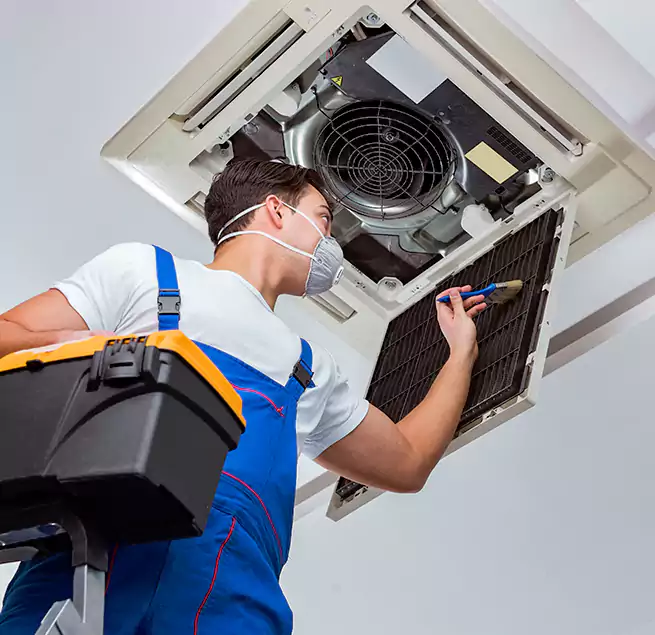 Why Homeowners & Businesses Trust Us in Lutz, FL