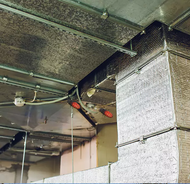 Why Homeowners & Businesses Trust Us Lutz, FL?