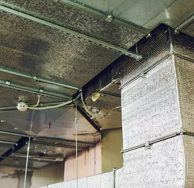 Why Homeowners & Businesses Trust Us in Lutz, FL?