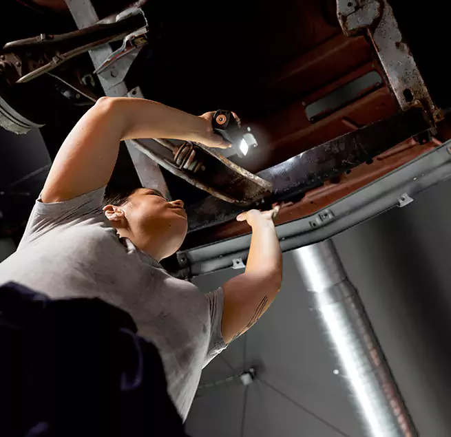 Why Homeowners & Businesses Trust Us Lutz, FL