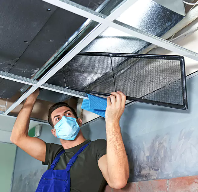 Why Homeowners & Businesses Trust Us in Lutz, FL?